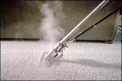 auckland carpet steam cleaning